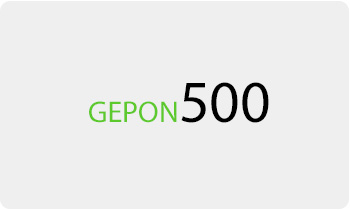 Gepon300