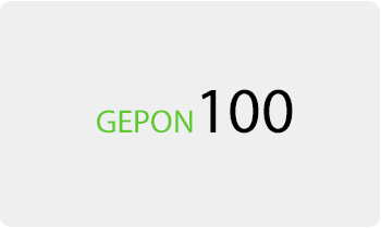 Gepon100